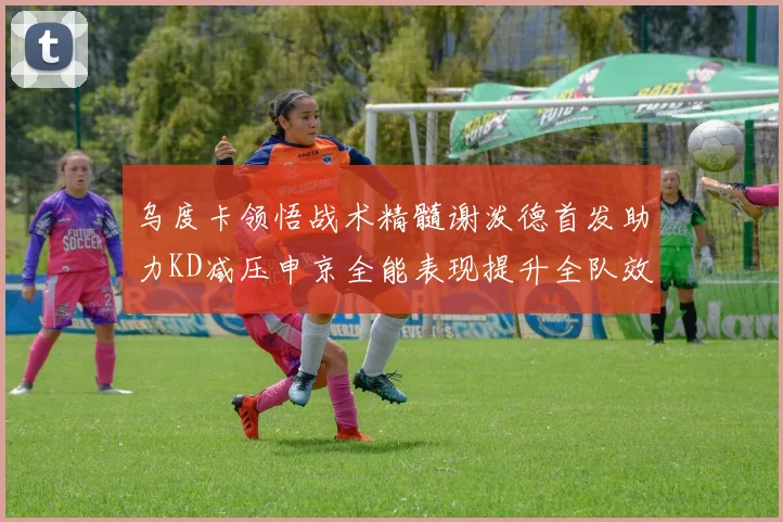 乌度卡领悟战术精髓谢泼德首发助力KD减压申京全能表现提升全队效率
